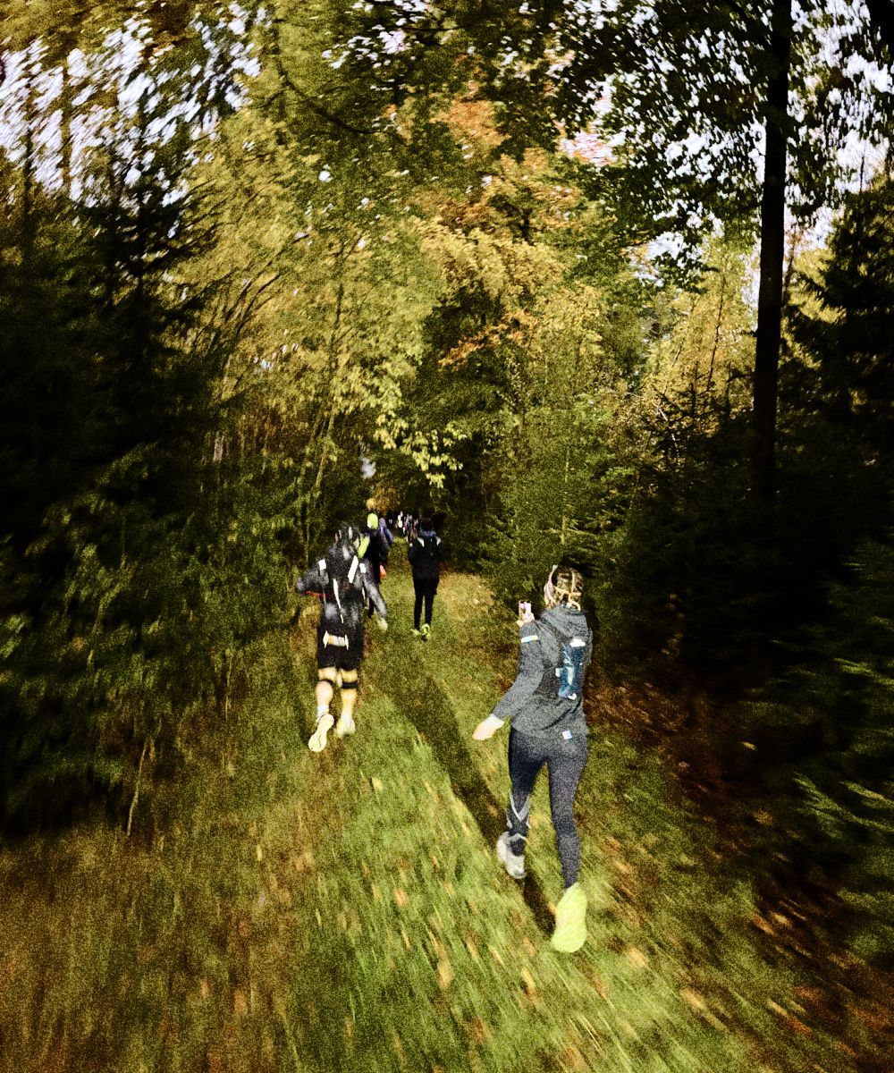 Trailrunning im Fichtelgebirge